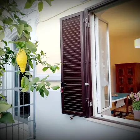 아파트 Casa Veve'