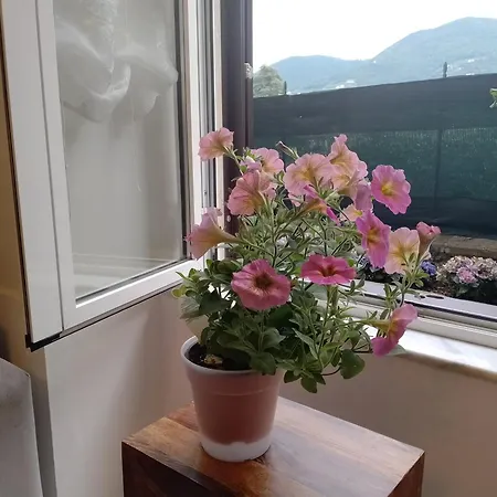 Apartamento Casa Veve' *