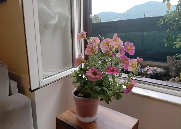 Apartmán Casa Veve' *